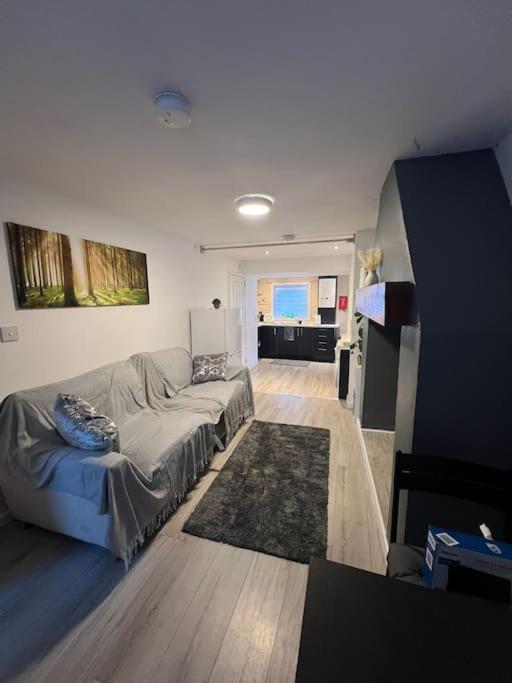 Haven - Beautiful 3 Bedroom House Ballynahinch エクステリア 写真