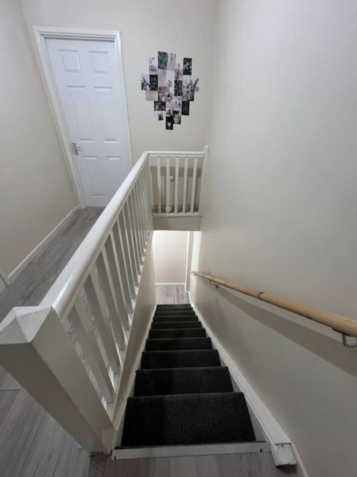 Haven - Beautiful 3 Bedroom House Ballynahinch エクステリア 写真