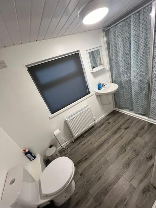 Haven - Beautiful 3 Bedroom House Ballynahinch エクステリア 写真