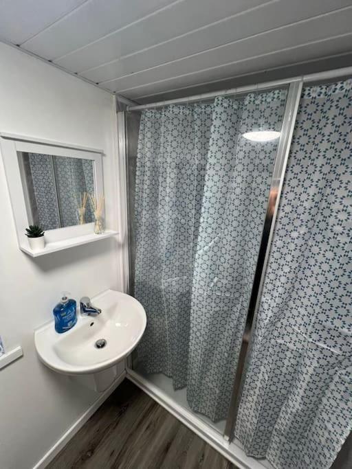 Haven - Beautiful 3 Bedroom House Ballynahinch エクステリア 写真